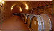 Wine courses