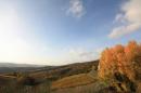 Warm October...