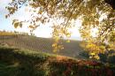 Chaging of colours in October...
