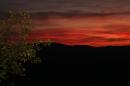 A sunset in Montemaggio...