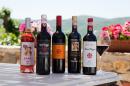 Montemaggio wines...