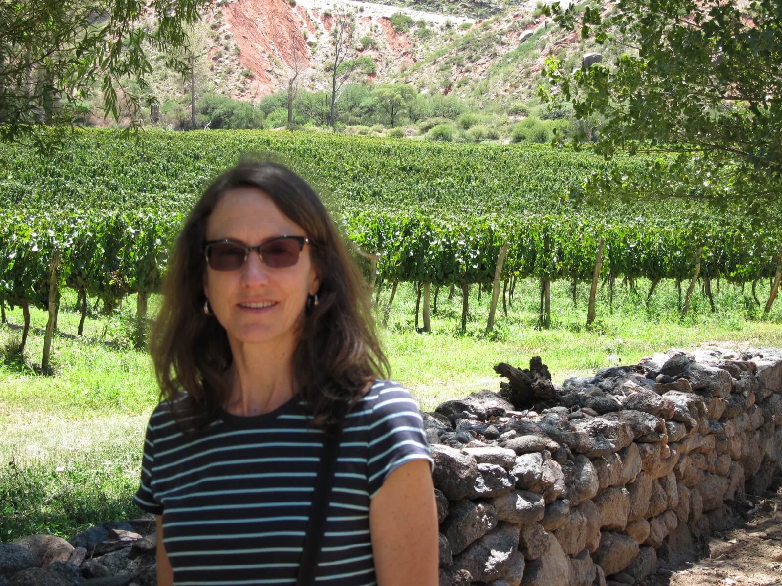 Lynn Gowdy of Savor the Harvest visits Montemaggio