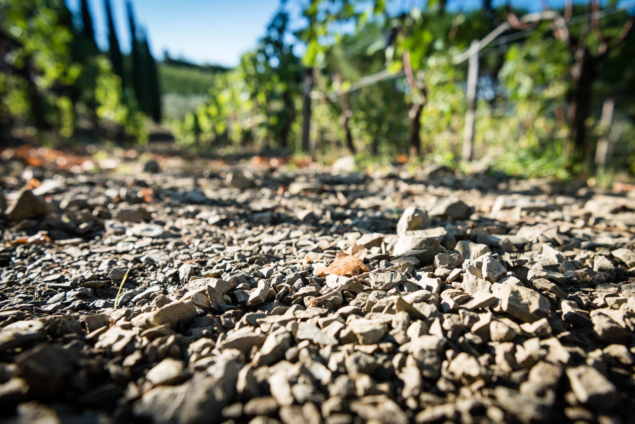 composting