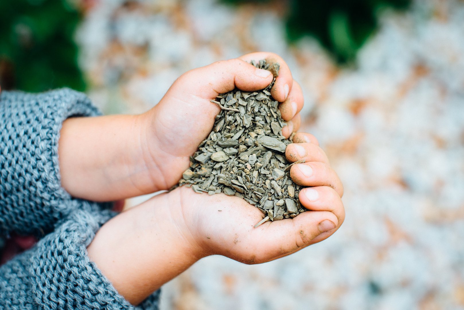 Conosci il tuo gusto di vino? Da convenzionale al naturale.