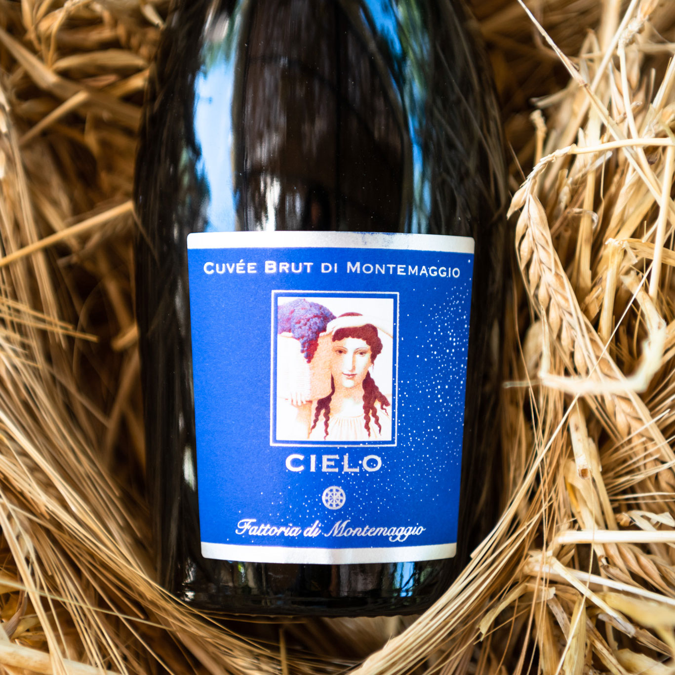 Il Cielo di Montemaggio-Buy a sparkling organic wine made with organic chardonnay grapes