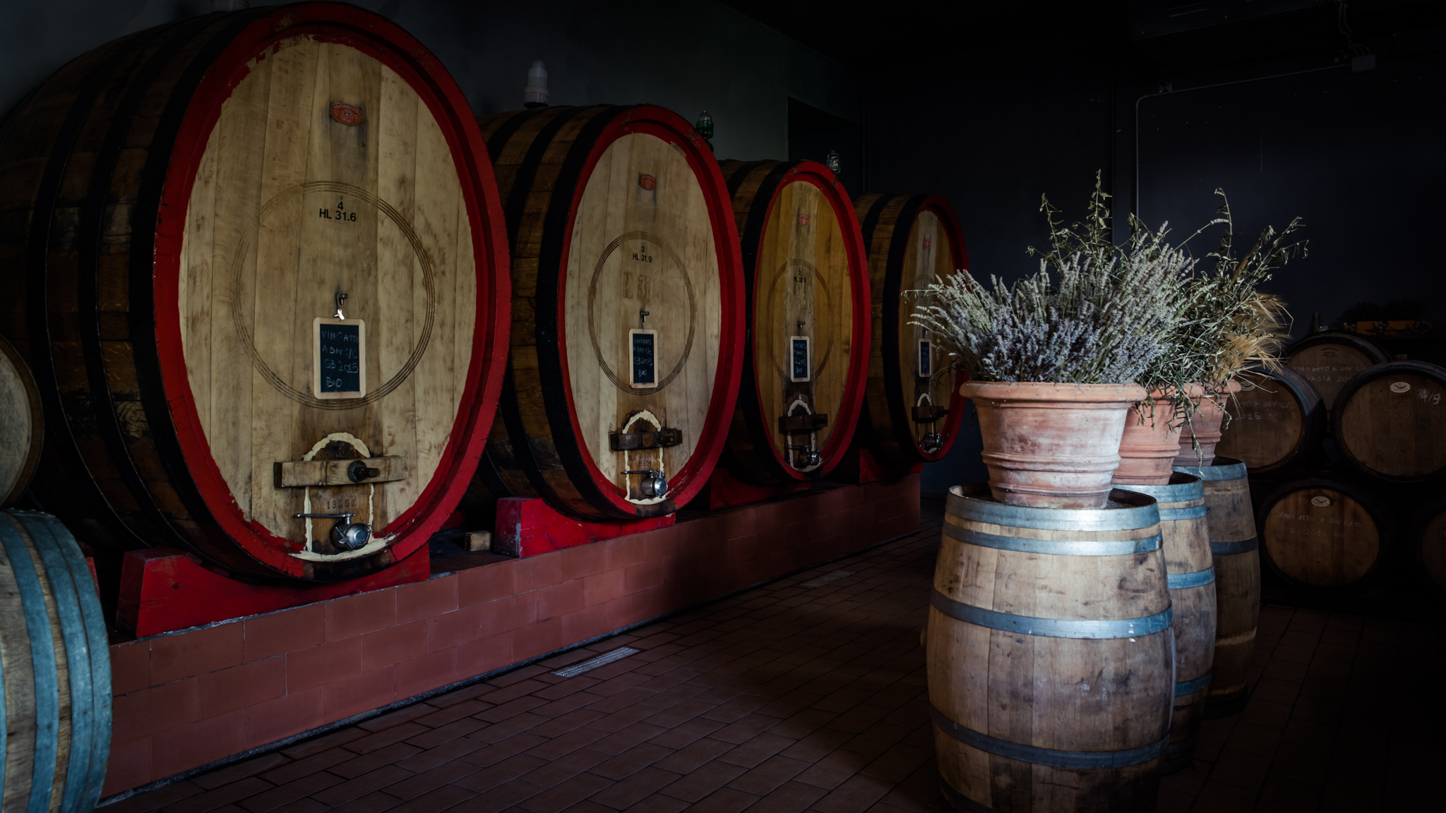 oak barrels as used for the wine making and aging process