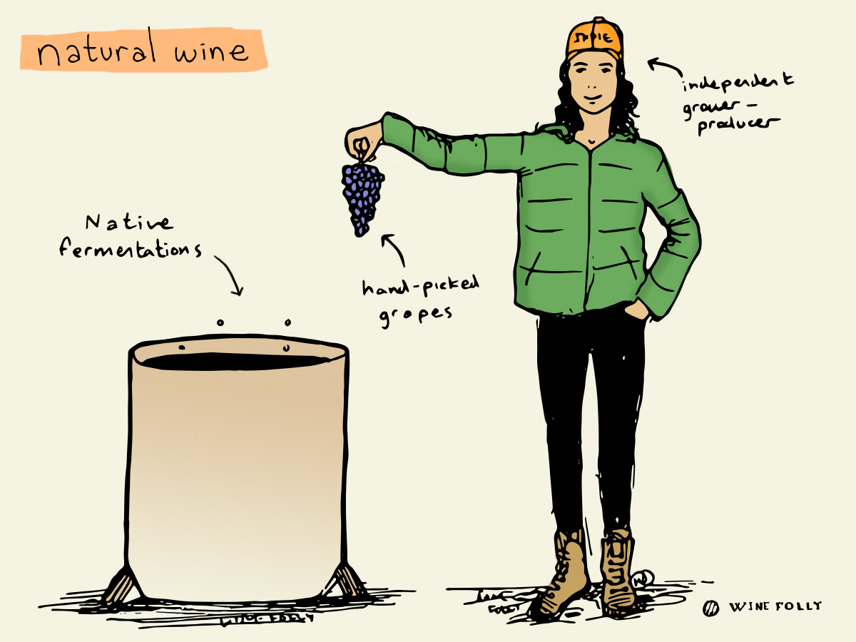 Get To Know Your Taste in Wine! Spanning from Conventional to Natural.