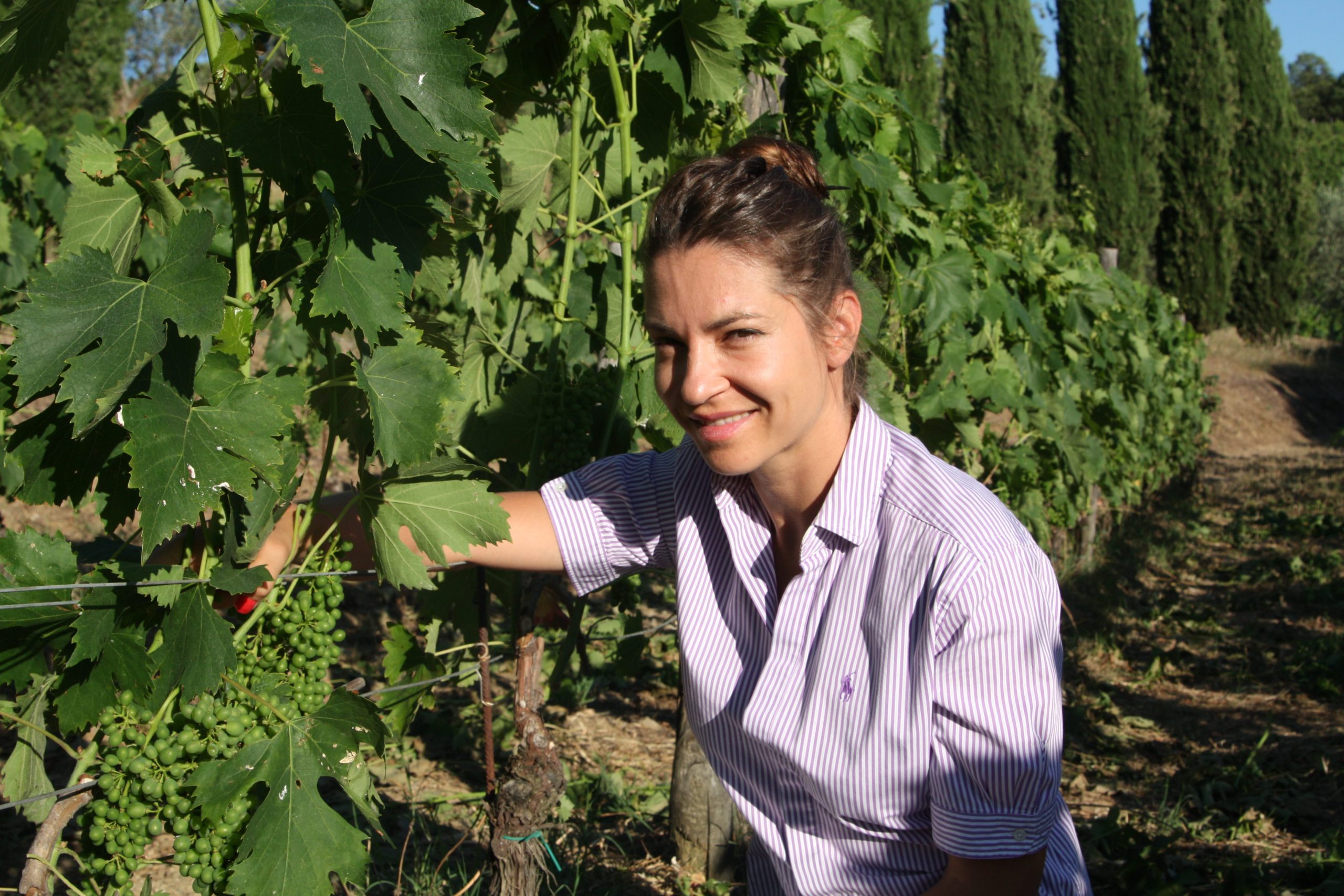 Valeria working in the Montemaggio Vineyard