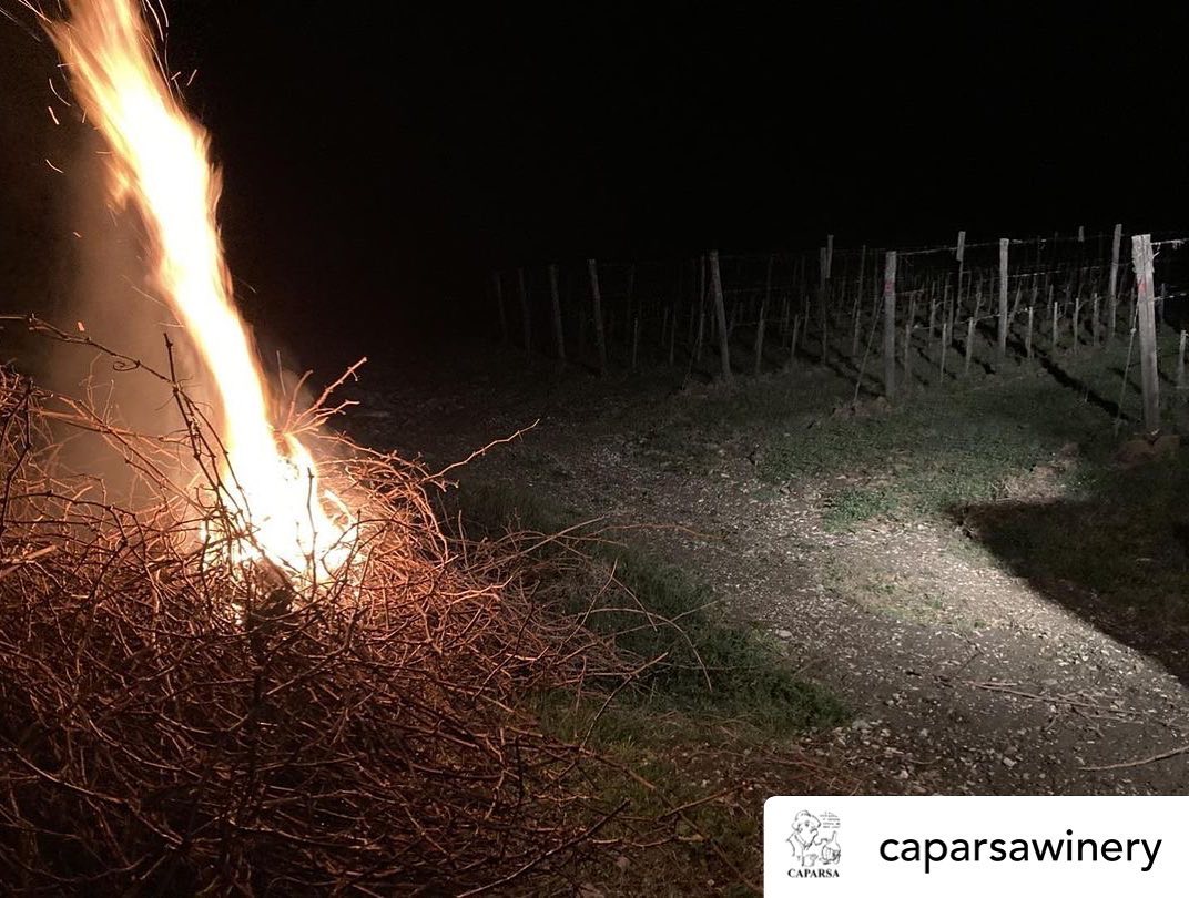 bonfires_against_frost_caparsa_winery