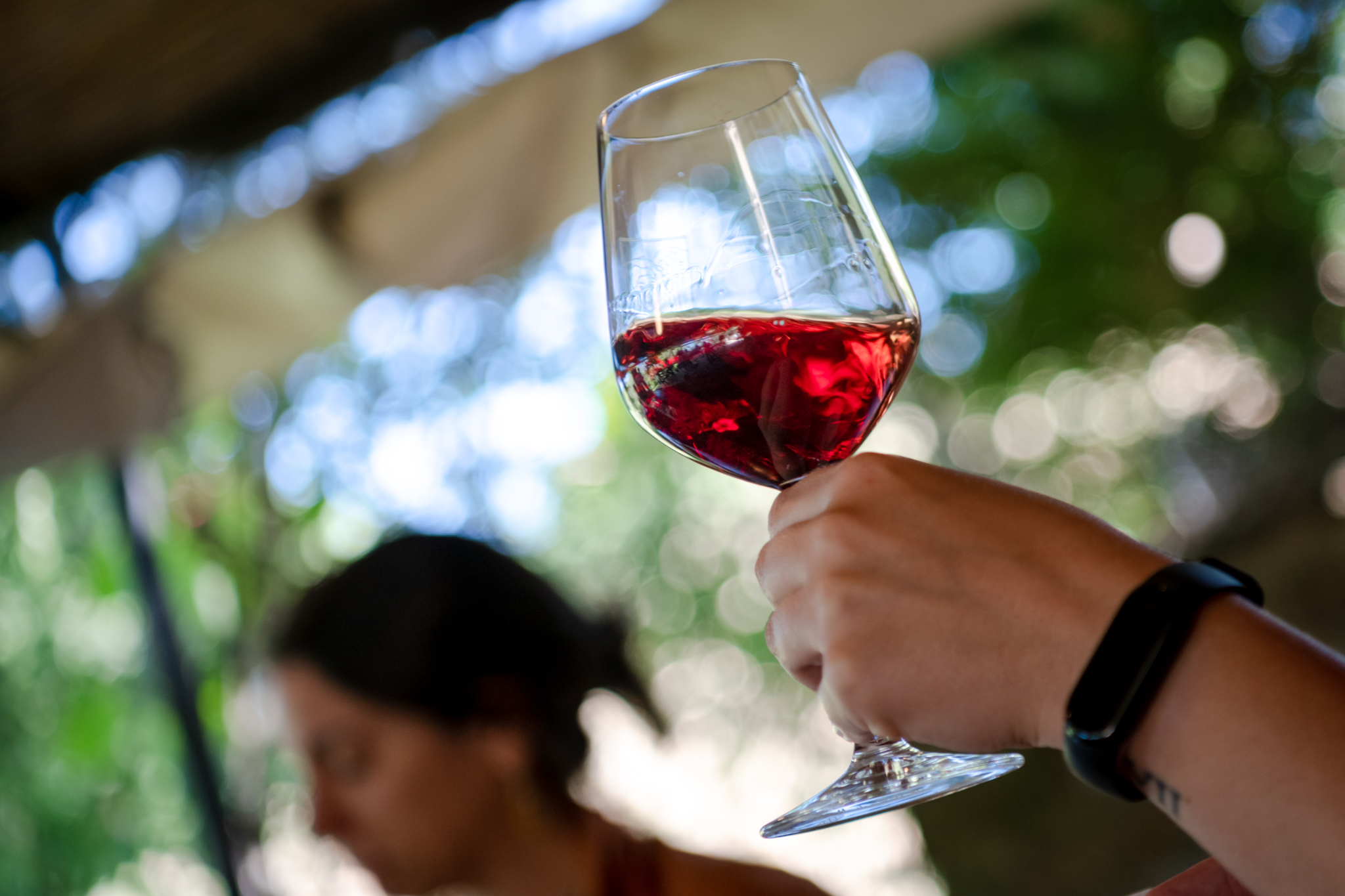 🍷 Best Wine Tasting Near Florence: Why Chianti Classico Is Worth the Drive
