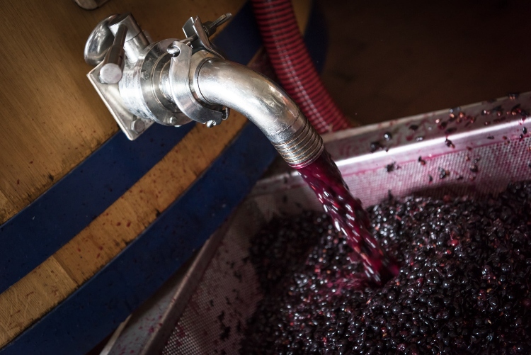 Pump over-winemaking-fattoria di montemaggio