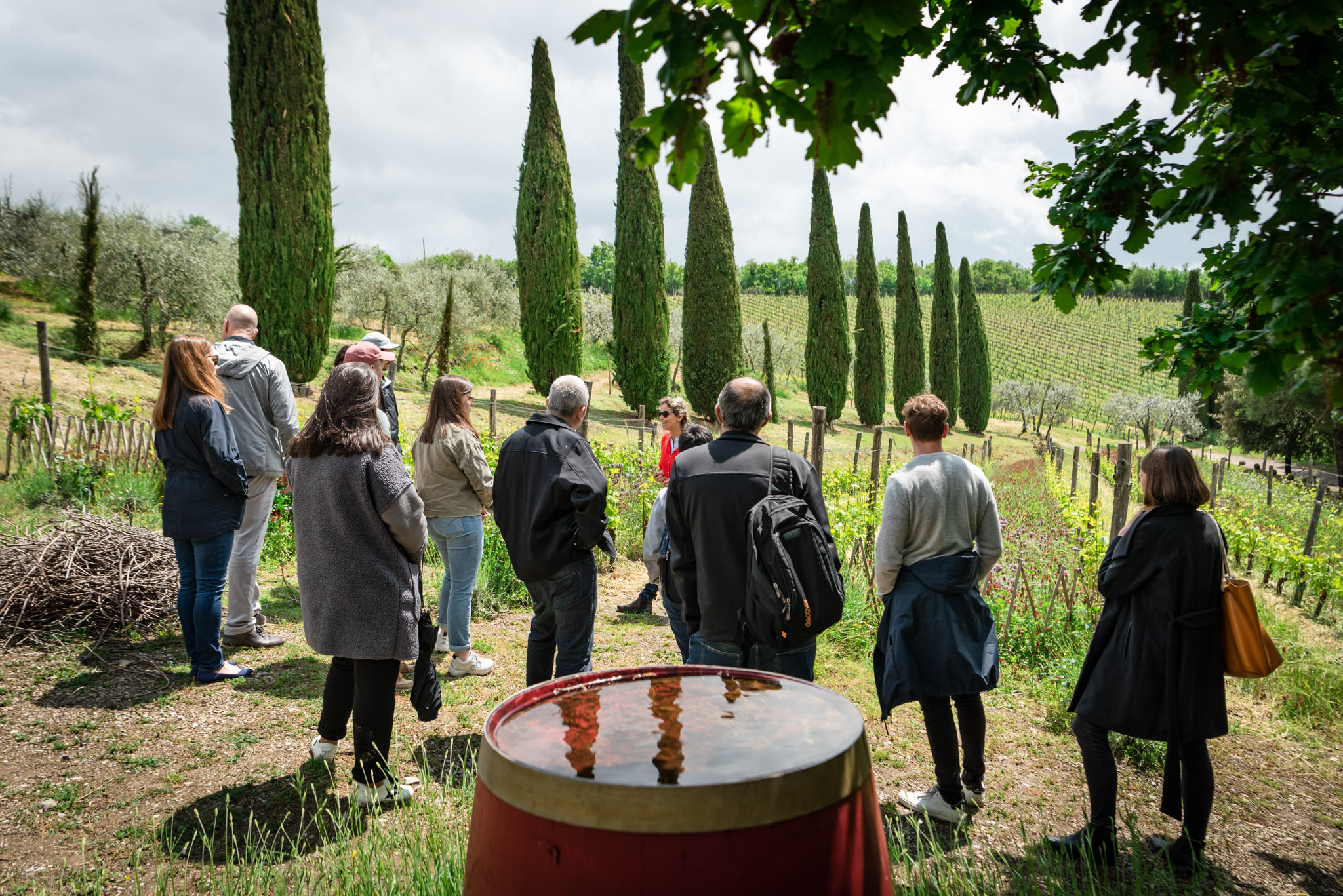 wine tour at Montemaggio