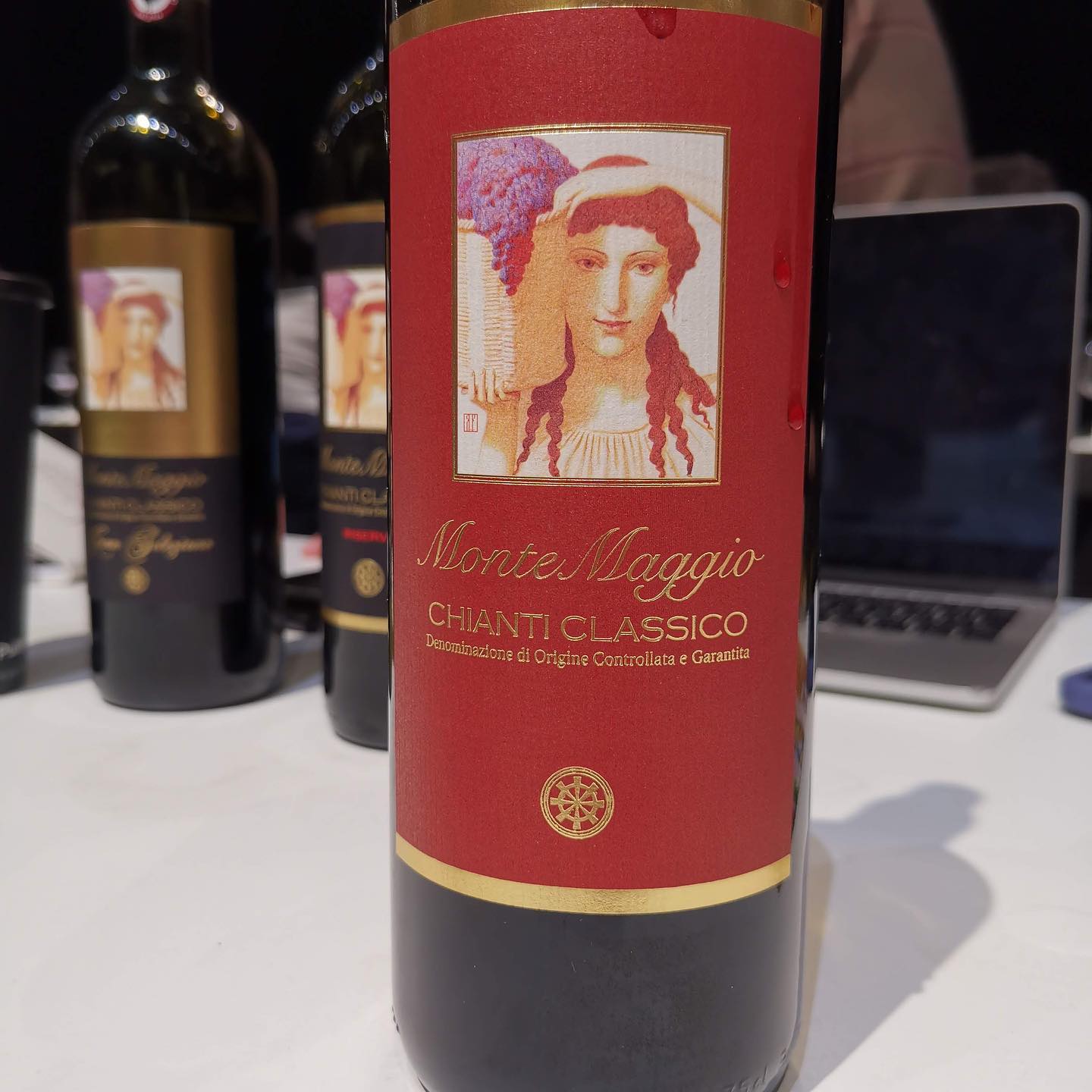 Chianti Classico Collection - Montemaggio wines